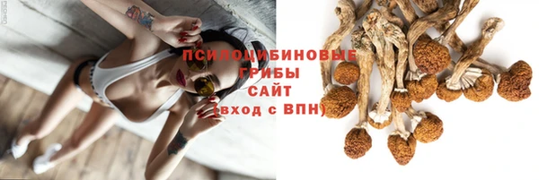 ПСИЛОЦИБИНОВЫЕ ГРИБЫ Абинск