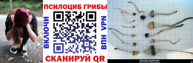 закладки KRAKEN маркетплейс Галлюциногенные грибы прущие грибы Исилькуль