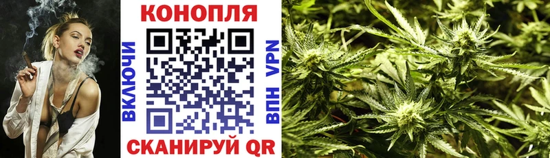 как найти закладки  Исилькуль  МЕГА ссылки  Марихуана план 